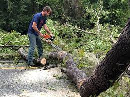 Best Storm Damage Tree Cleanup  in Emerald Lakes, PA